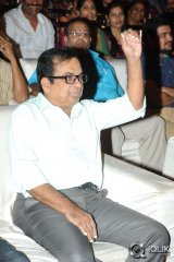 Joru Movie Audio Launch